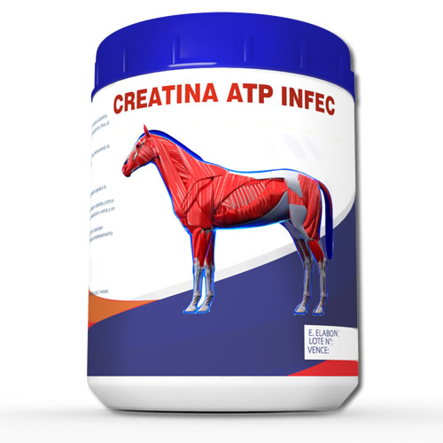 Creatina ATP