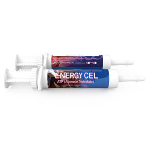 Energy Cell 8 gr.