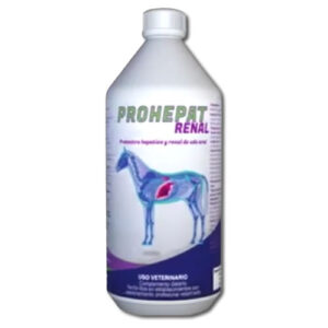 Prohepat Renal